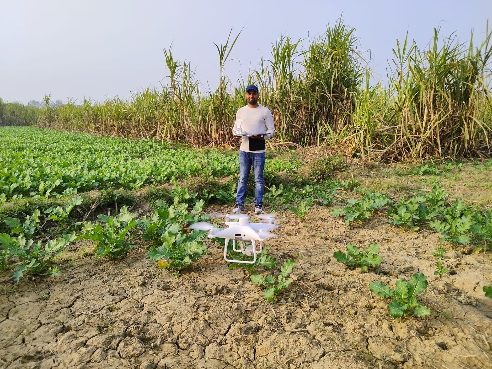 Drone based precision agriculture